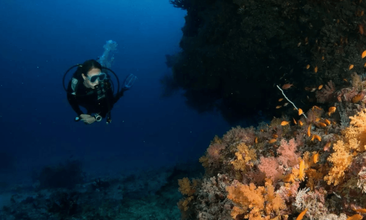 Diving2