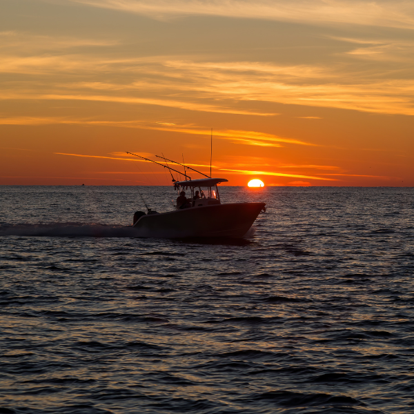 Sunset Fishing