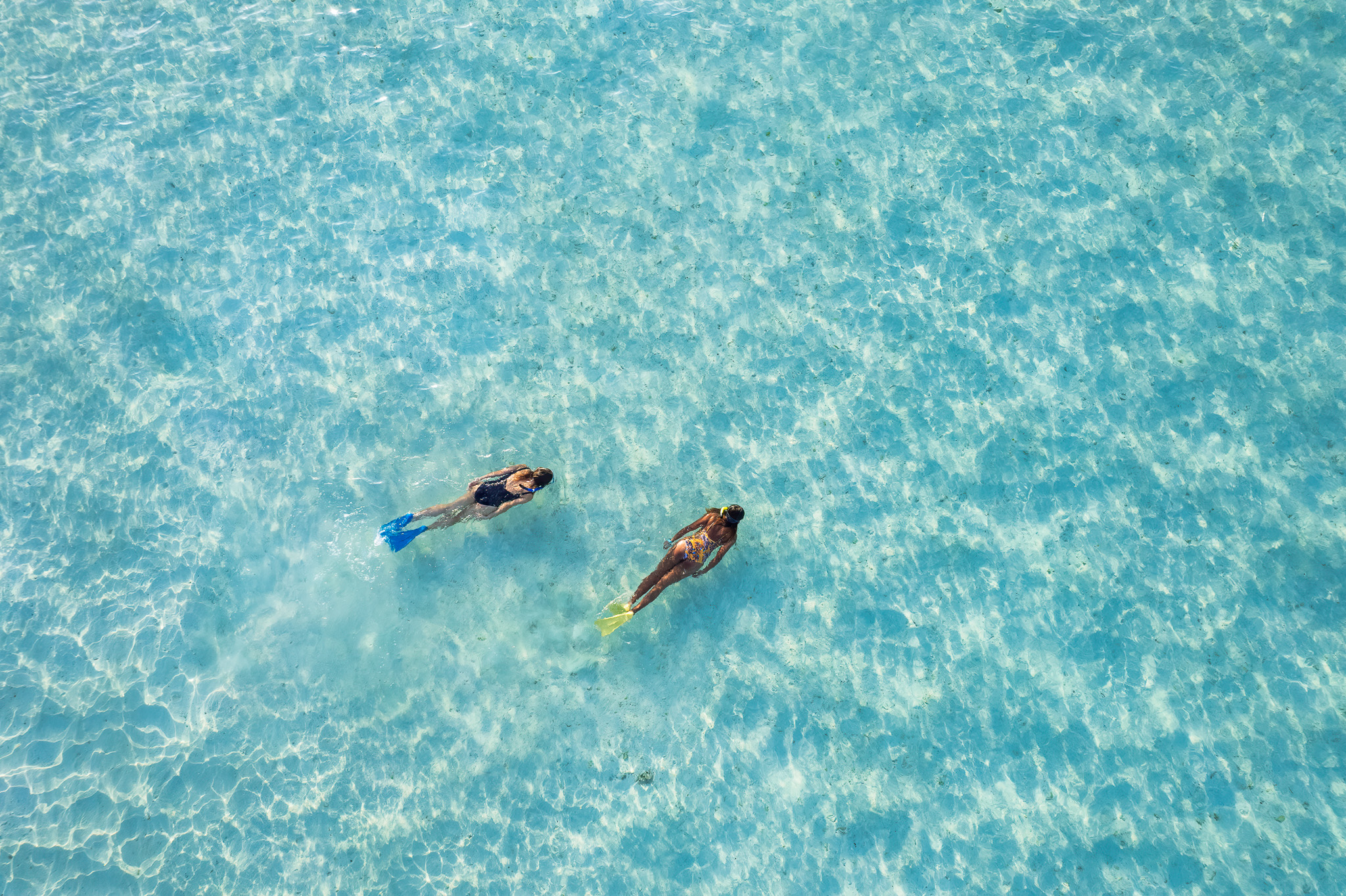 Aquaholics