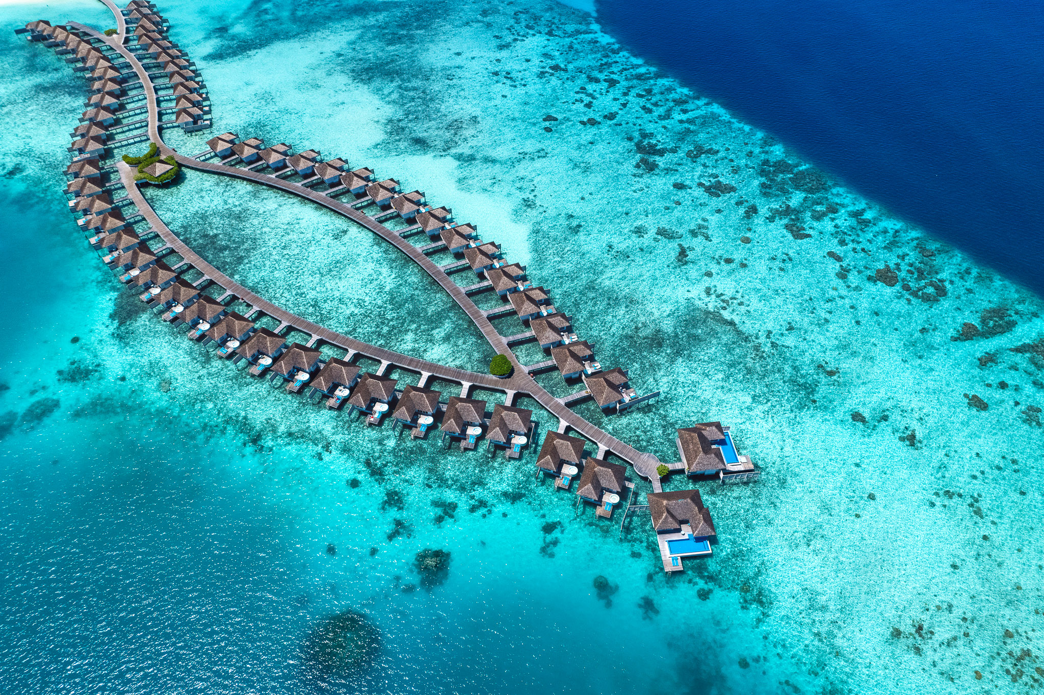 Island Life