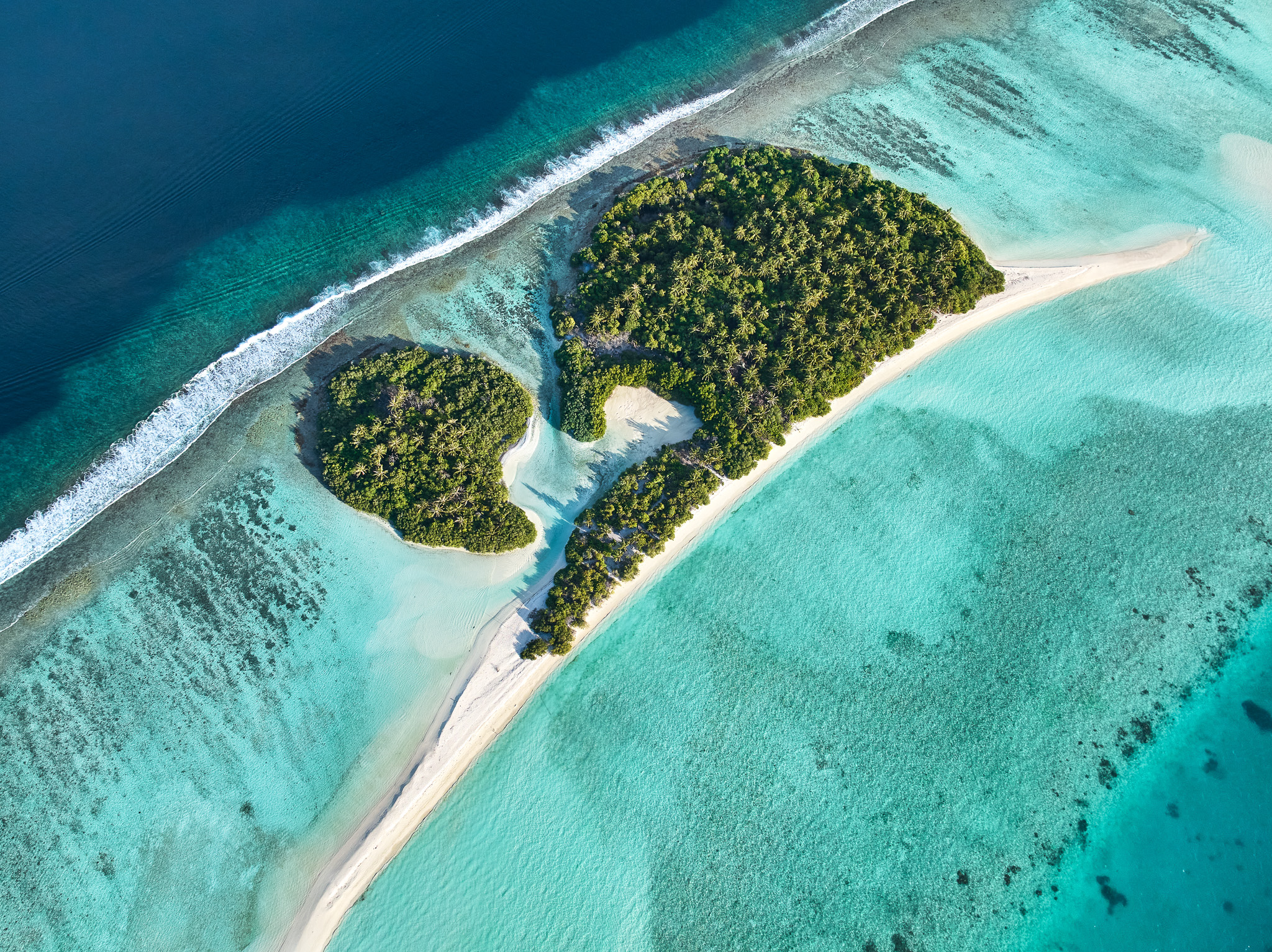 Island Life