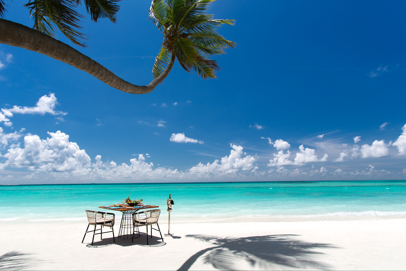 Island Life