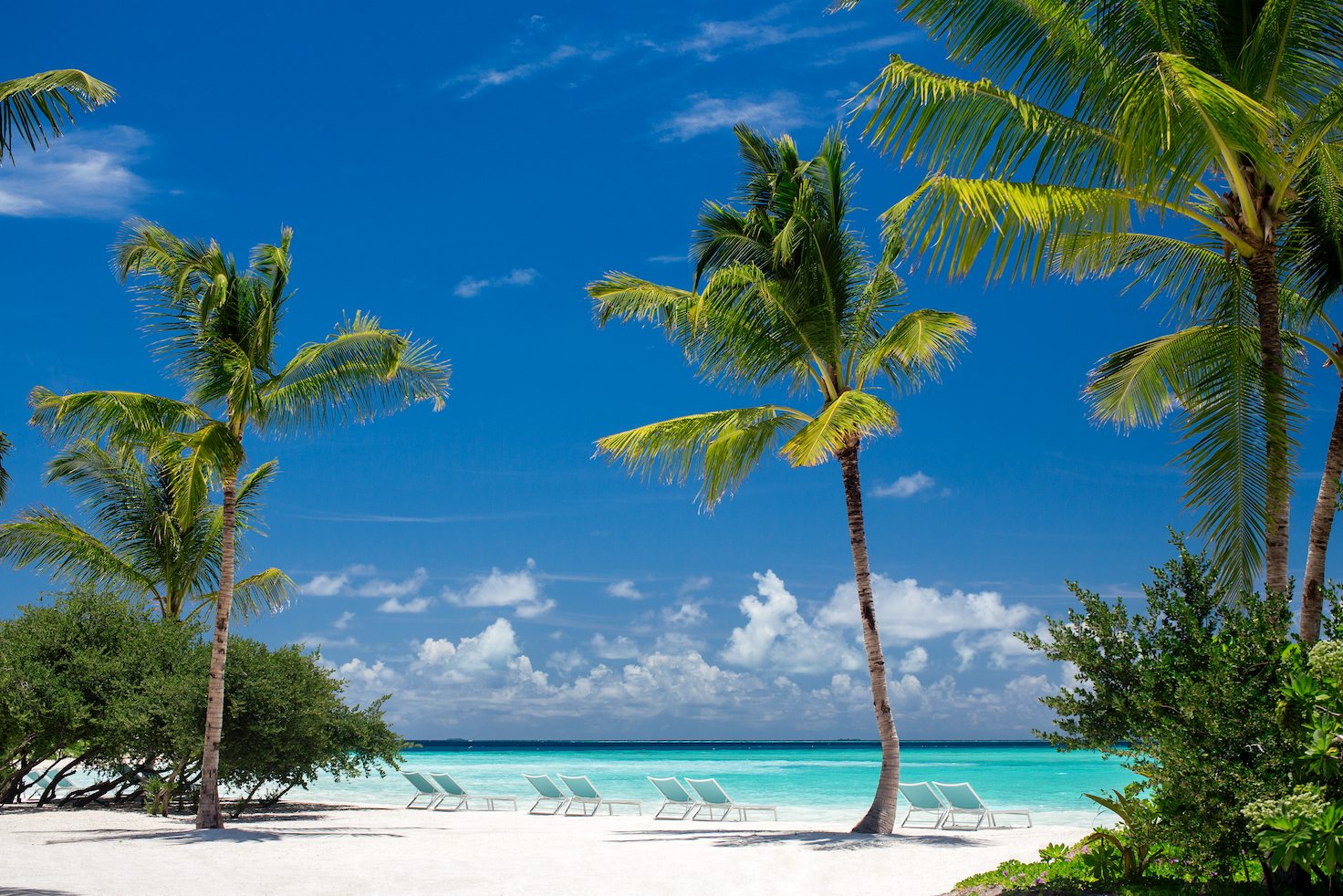 Island Life